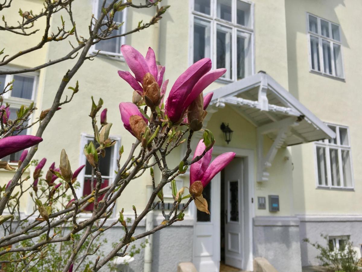 Landhaus Blauer Spatz Reichenau An Der Rax Appartement Buitenkant foto